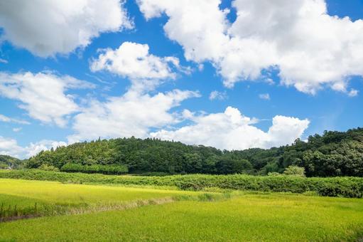 2020年に住宅の需給バランスが崩れるかも？